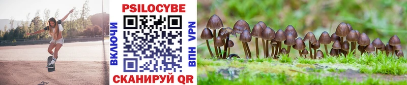 Галлюциногенные грибы Cubensis  даркнет состав  Слободской 