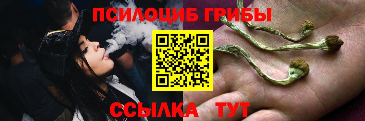 Слободской  Псилоцибиновые грибы мухоморы  Вход с VPN  Псилоцибиновые грибы Cubensis 